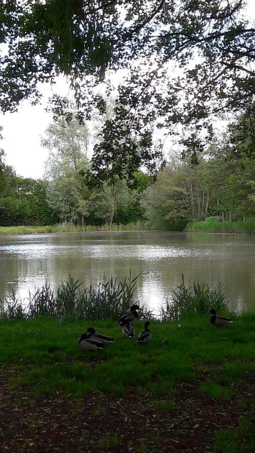 ENTRE LOIRE ET CHER Grand Gîte Côté Tilleul Tour-en-Sologne Exterior foto